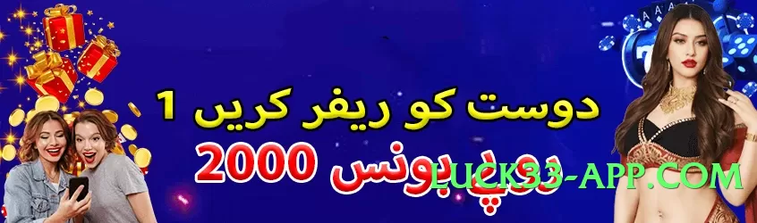 799pka v6.5.0 2025 Screenshot 2